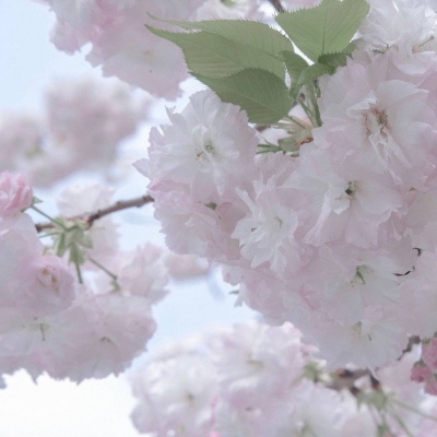 兽设天空场景设计福瑞群